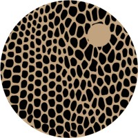 Qaraywa Arquitectos🦎
