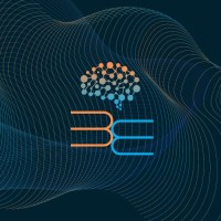 WIDEMIND logo - Similar company to Wiztech Group