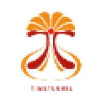 Timetunnel Consulting Pty Ltd logo - Similar company to Technology Integrated Solutions (Tis)