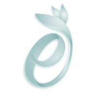 WemanConnect logo - Similar company to Asura
