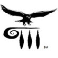 Dillon Capital Strategies (a unit of Synerphysics Inc.) logo - Similar company to Humanize Generative Ai