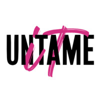 Untame It Consulting logo - Similar company to Finance Base Ag