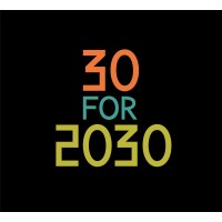 30 for 2030 logo - Similar company to Ispor Philippines Chapter