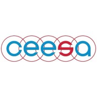 Central & Eastern European Schools Association logo - Similar company to East Asia Regional Council Of Schools