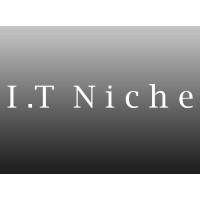I.T Niche Ltd logo - Similar company to Bitswift It Solution Ltd