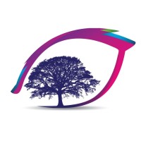 Eyedentified Consulting Services, LLC logo - Similar company to Torque Advisors