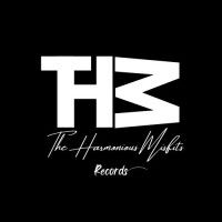 The Harmonious Misfits logo - Similar company to Spexora Ai