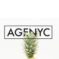 The Agenyc logo - Similar company to Erg Concepts