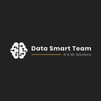 Data Smart Team logo - Similar company to Hexergy