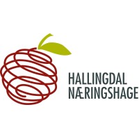 Hallingdal Næringshage logo - Similar company to Trainee Hallingdal