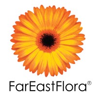 Far East Flora Pte Ltd