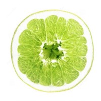 Green Orange logo - Similar company to Arctusoft
