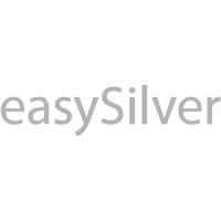 Easy Silver Srl logo - Similar company to Scatragli