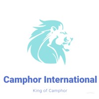 Camphor International logo - Similar company to Camphor Solutions
