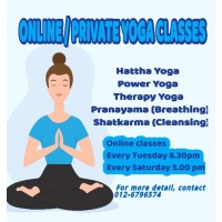 Yoginizha Wellness logo - Similar company to Healer Within Foundation
