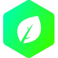 MintCo logo - Similar company to Widernet