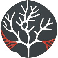Stroud Commons logo - Similar company to Tvnf