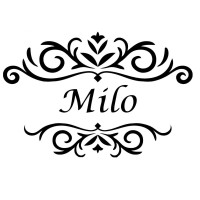 Milo Fashion LLC logo - Similar company to Usa Leather Jackets