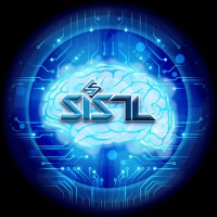 Specialised IT Solutions Ltd. logo - Similar company to Vgk Group