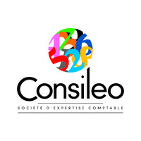 CONSILEO EXPERTISE COMPTABLE logo - Similar company to Dalançon Expertise