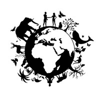 International Biodiversity Foundation logo - Similar company to Dancing Star Foundation