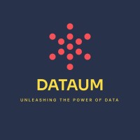 Dataum logo - Similar company to M-Squared Healthcare Solutions