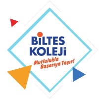 Biltes Koleji logo - Similar company to Puzzle Business Services