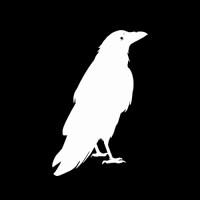 Raven Cybersecurity logo - Similar company to Vertical Bit