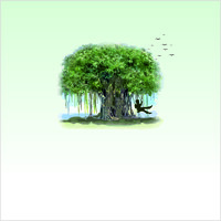 Rachana Value Homes Pvt. Ltd. logo - Similar company to Plan Direct Resources Ltd.