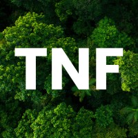 Thenewforest