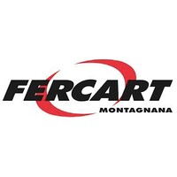 FERCART s.r.l. logo - Similar company to Scam Technology Srl
