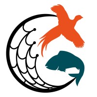 Collins Nets Ltd logo - Similar company to Blacknets