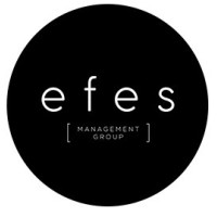 Efes Management Group logo - Similar company to Hunter Solutions