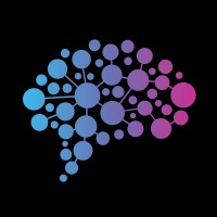 Saddakni & Co. AI-Led Transformation logo - Similar company to Authentifi Inc.