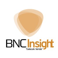 Bnc Insight logo - Similar company to Hranalitik.Com