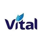 VITAL FLORE logo - Similar company to Devstation Corporation