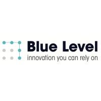 Blue Level Consulting logo - Similar company to Blue Level