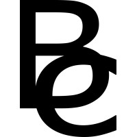 Bain Computing logo - Similar company to Ids Consulting