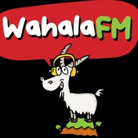 Wahala Fm