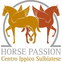SSD CENTRO IPPICO SULBIATESE logo - Similar company to Fondobrugarolo
