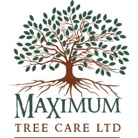 Maximum Tree Care Ltd.