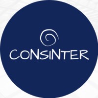CONSINTER logo - Similar company to Anepri