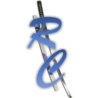 Ronin Computers logo - Similar company to Ronin Co