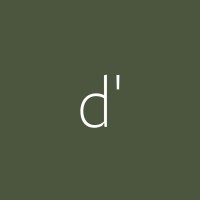 d'studio logo - Similar company to C'Est Tout