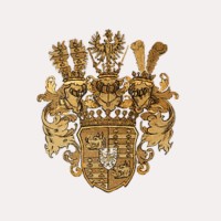 Graf Strachwitz Capital Partners logo - Similar company to Snglr Group