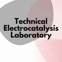 Technical Electrocatalysis Laboratory logo - Similar company to Siz Energieplus