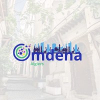 Omdena Algiers Local Chapter logo - Similar company to Byte In