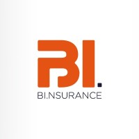 BI.NSURANCE logo - Similar company to Pdvbox
