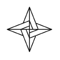 Newstar Group Ltd. logo - Similar company to Curva Egypt