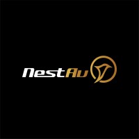 Nesto Aviation logo - Similar company to Swiftwing Studio